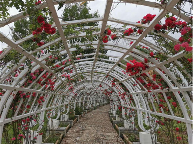 甘孜州道孚县：打造高原植物园研学基地助力群众增收