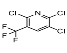 2,3,6-TRICHLORO-5-(TRIFLUOROMETHYL) PYRIDINE