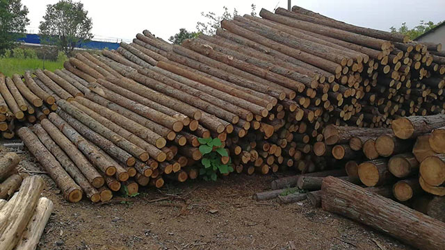 连云港生态木桩厂家