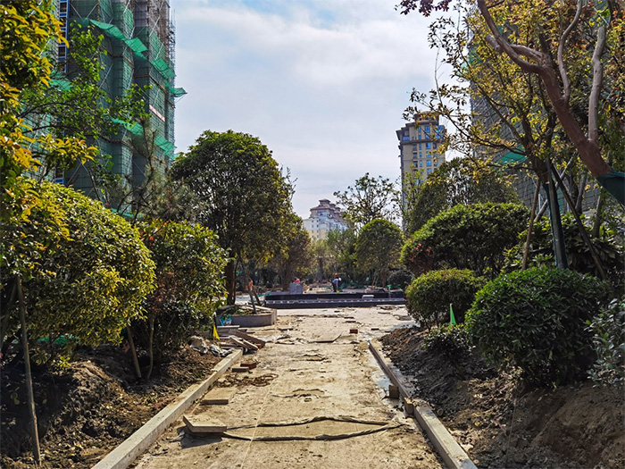 CQ9电子金砖公寓配套建设速度快 生态环境建设初露真容