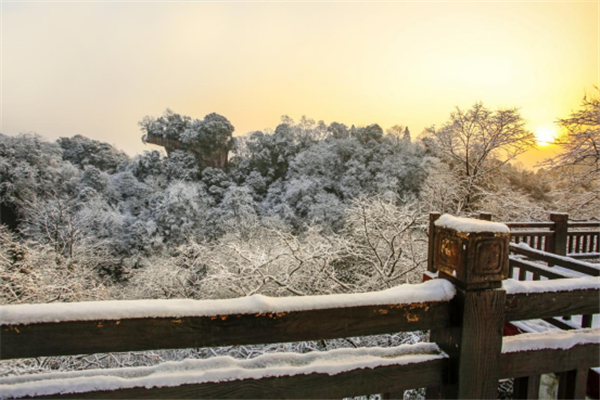雪雪雪雪雪，邛崃天台山迎来入冬第一场雪