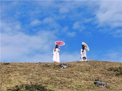 德昌杜鹃花海行