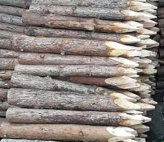 苏州杉木桩在软土地基的施工要求