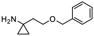 1-(2-(benzyloxy)ethyl)cyclopropan-1-amine      388095-22-5