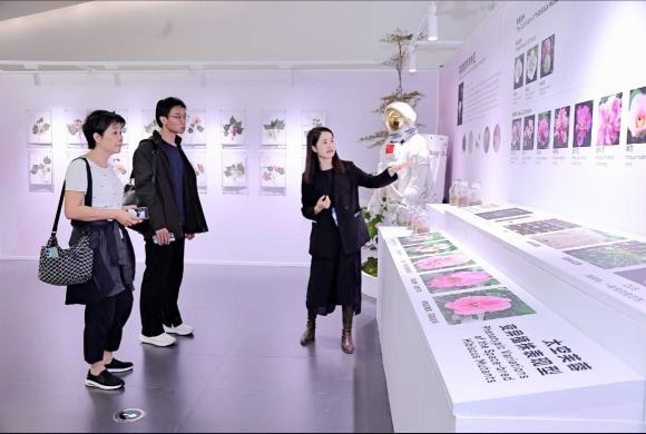 2024成都世园会：芙蓉国际展璀璨启幕，全球艺术聚焦蓉城