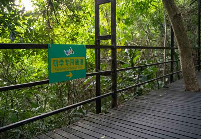 海南呀诺达景区“六专”措施为学生研学提供安全保障