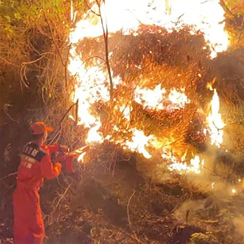 2024年2月贵州山火，如何保护森林资源，守护绿色家园？