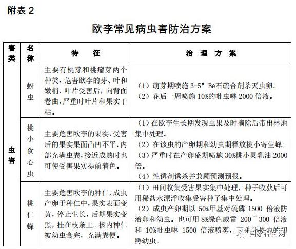 欧李原料林可持续培育指南