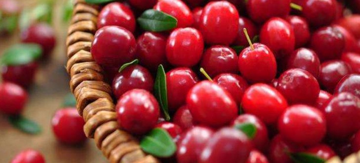 蔓越莓有什么營養價值？