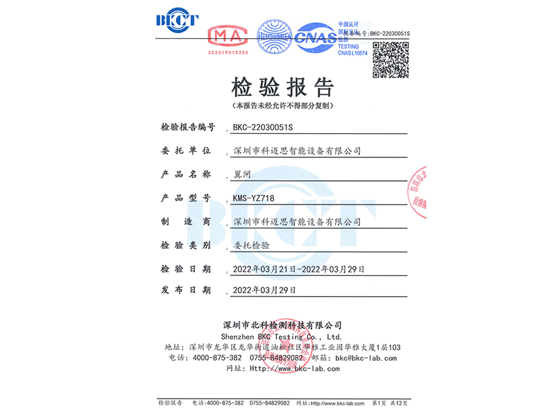 翼闸检测报告