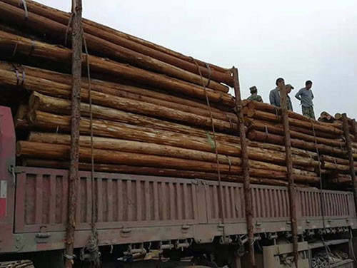 南通生态木桩加工厂