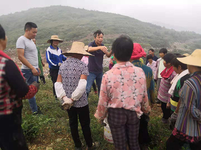惠禾壮李教授高山讲授茶叶种植施肥技术