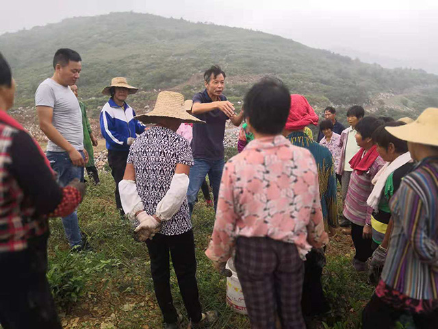 惠禾壯李教授高山講授茶葉種植施肥技術