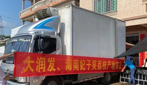 海南农垦果蔬产业集团2022年荔枝销售工作正式开启
