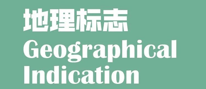 官宣！国知局发布2020年上半年数据