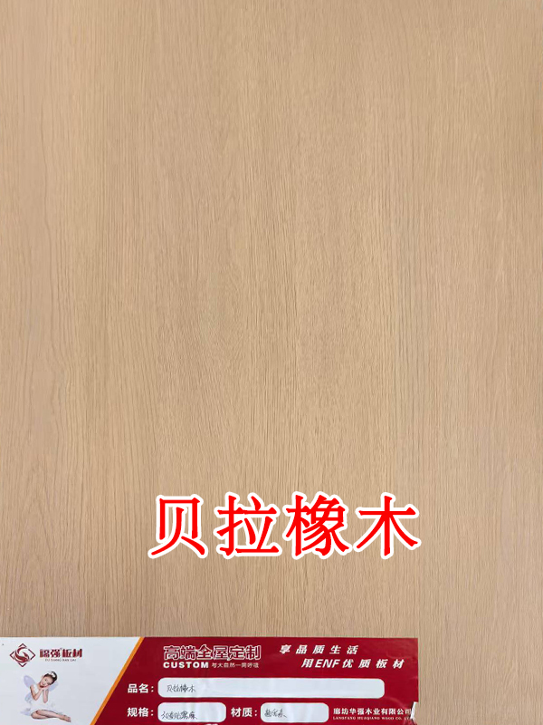 贝拉橡木