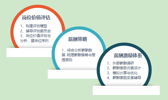某多元化公司薪酬绩效改革案例
