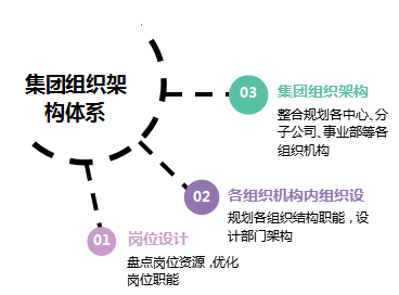 组织诊断、人力体系、流程案例