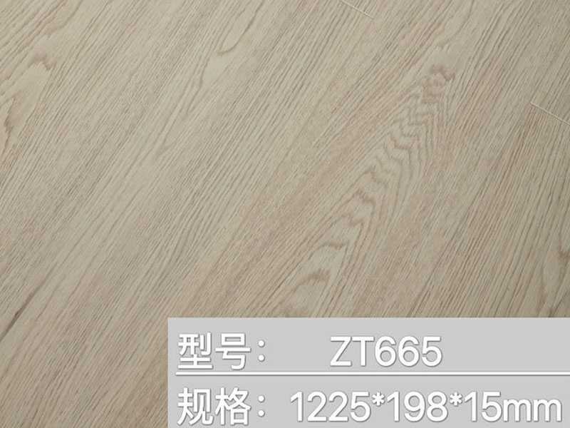 ZT-665木地板