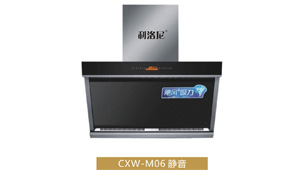 CXW-M06 雙電機(蒸汽清洗)