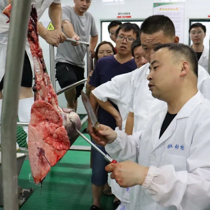 以實干篤定前行，以奮斗開啟未來——江蘇富康2022年度工作總結(jié)