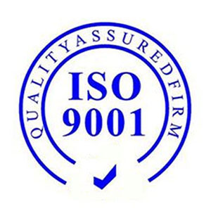 内蒙古ISO9001质量管理体系认证要控制哪些过程?