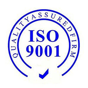 內(nèi)蒙古ISO9001質(zhì)量管理體系認(rèn)證要控制哪些過程?