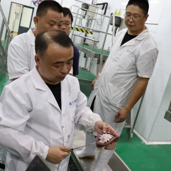 以實干篤定前行，以奮斗開啟未來——江蘇富康2022年度工作總結(jié)