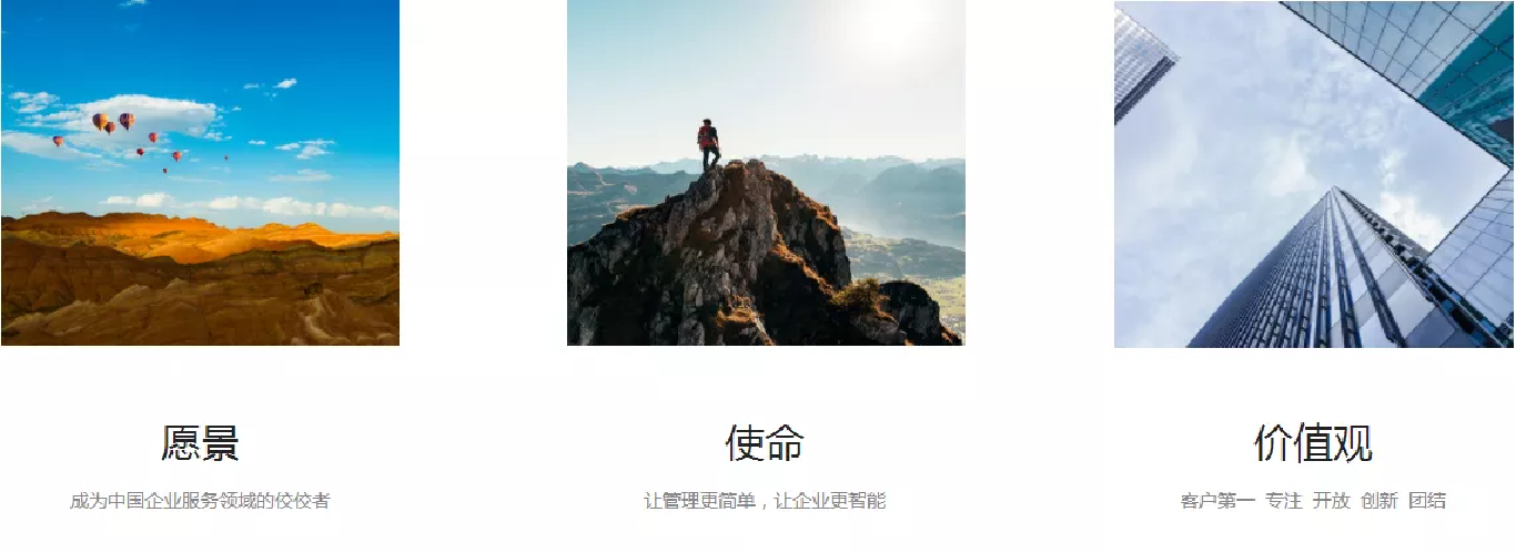 公司介绍 公司介绍