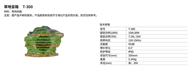 蚌埠草地音箱T-300