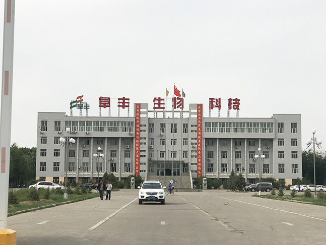 内蒙古阜丰生物科技有限公司工程