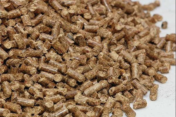 可以讓生物質燃料轉變成可再生資源嗎？