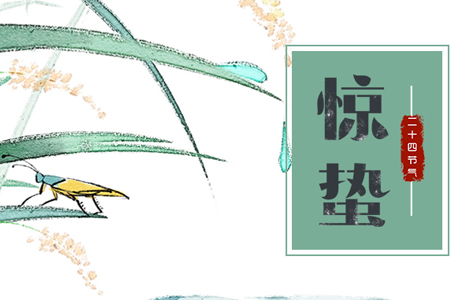 傳統農業的轉變在于打造科技、智能化農業