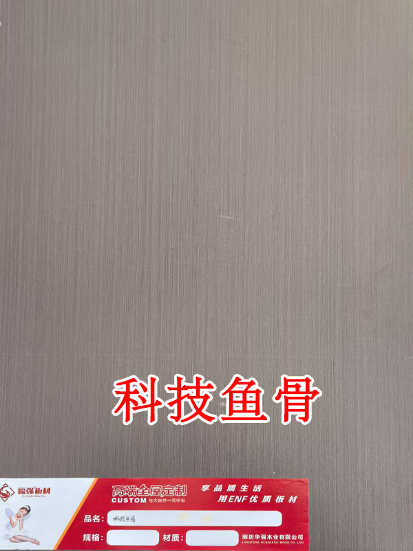 科技鱼骨