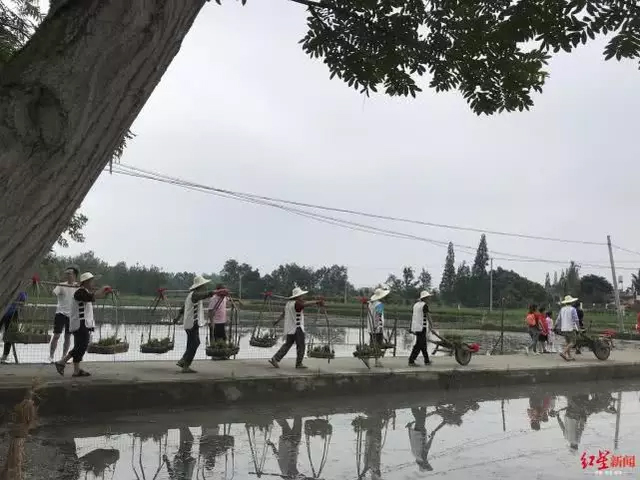 祭祀、插秧、唱山歌.....郫都重要农遗地民俗文化了解下