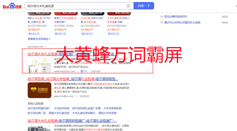 宁夏百度推广快速排名-大黄蜂万词霸屏