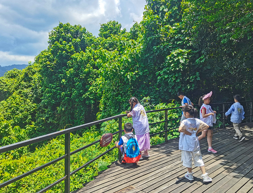 探索雨林奇妙 武汉教育电视台《星熠少年》海南呀诺达景区取景