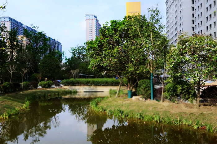 CQ9电子金砖公寓配套建设速度快 生态环境建设初露真容