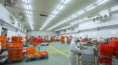邛崃：践行简约生活倡议复工防疫都不松懈