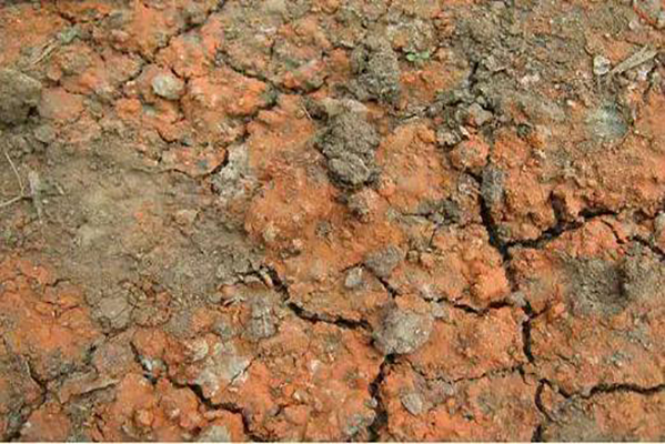 内蒙古固废所|土壤修复和固废处理有什么关系？|土壤氡浓度检测的必要性