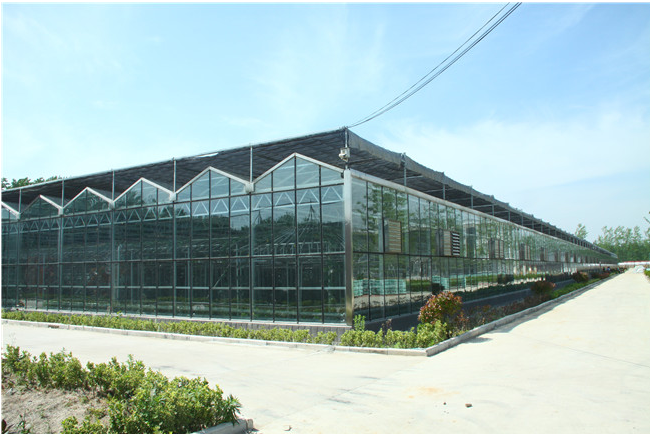 玻璃温室大棚的构造与优点