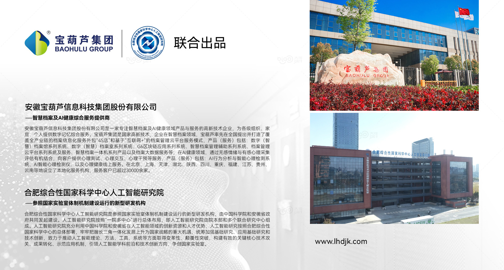 安徽宝葫芦信息科技集团