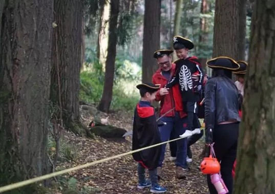 灵岩山的“有度”，藏着一片“小森林”的秘密
