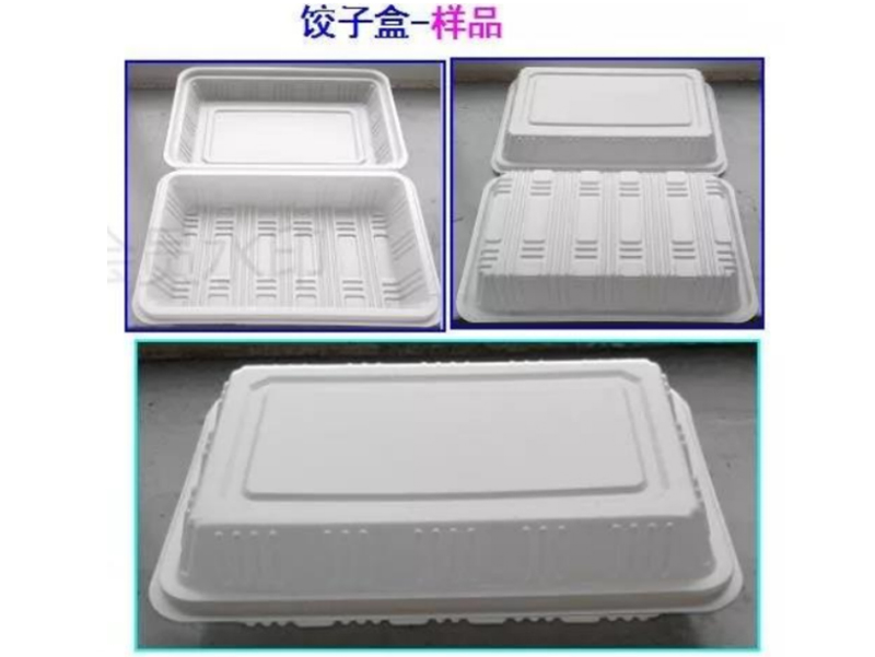 Dumpling box