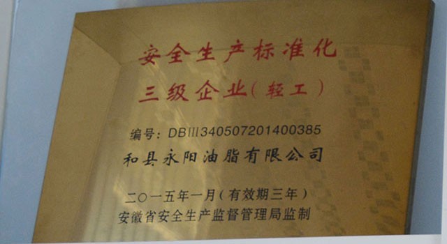 安全生產標準化三級企業（輕工）