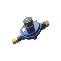 RTZ-*/0.4D系列燃气调压器