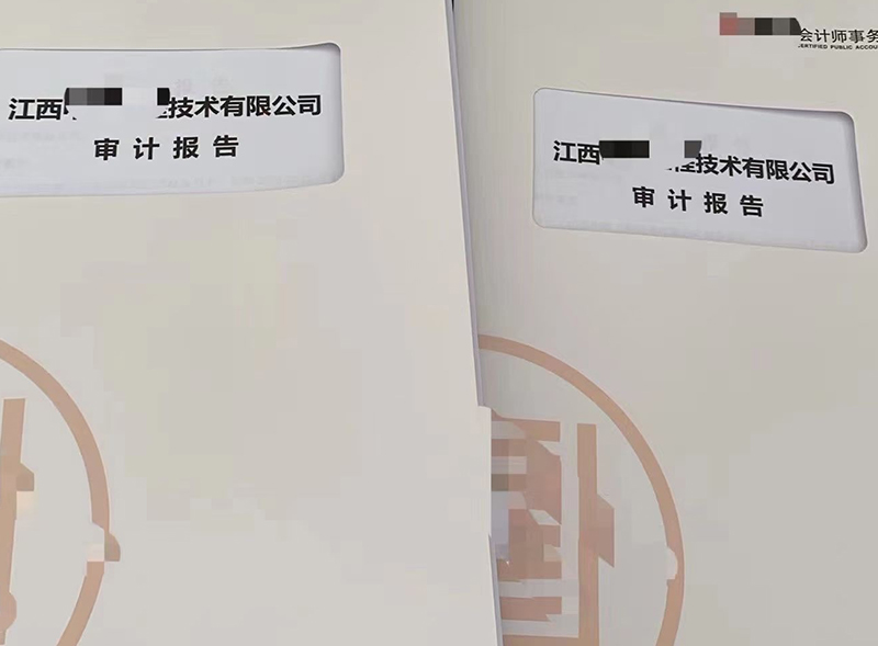 审计报告