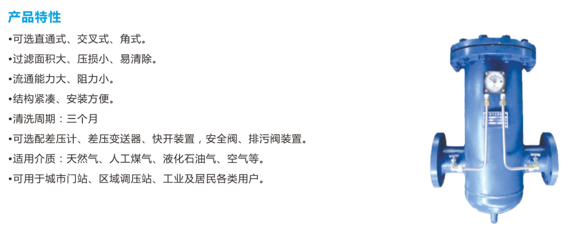 燃气过滤器