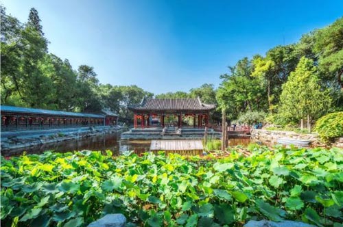 傳承千年禮序，重現(xiàn)當(dāng)代府園生活