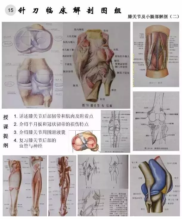 【针刀培训班】针刀临床解剖图干货知识赶快收了
